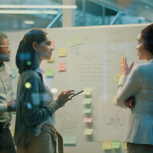 Risk Management in Clinical Trials